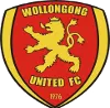 Logo of Wollongong United