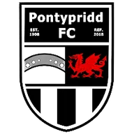 Logo of Pontypridd