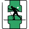 Logo of Heming
