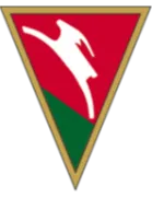 Logo of Lublinianka Lublin