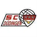 Logo of Dudingen