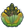 Logo of Kampong Speu Province