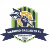 Logo of Marumo Gallants FC