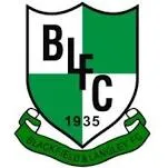 Logo of Blackfield Langley