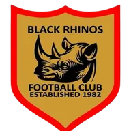 Logo of Black Rhinos