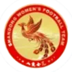 Logo of Shandong Jinghua(w)