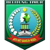 Logo of PS Belitung Timur
