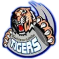 Logo of Azam Tigers FC