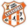 Logo of CS Sanandrei Timis