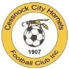 Logo of Cessnock City Hornets