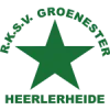 Logo of Groene Ster