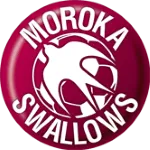 Logo of Maccabi FC