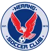 Logo of Nerang Soccer Club Ii