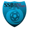 Logo of Bina Mutiara
