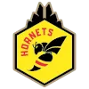 Logo of CTX Hornets (w)