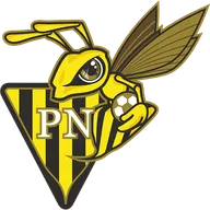 Logo of Progres Niedercorn