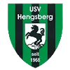 Logo of Usv Hengsberg