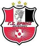 Logo of Ermis Amyntaiou
