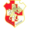 Logo of Naxxar Lions