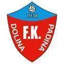 Logo of FK Dolina Padina