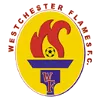 Logo of Westchester Flames
