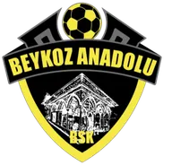 Logo of Beykoz Anadolu