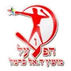 Logo of Hapoel Dalyat El Carmel