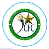 Logo of City FC (w)