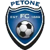 Logo of Powerex Petone (w)