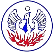 Logo of Naousa