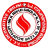 Logo of Lokomotivi Tbilisi U19