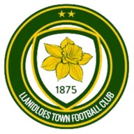Logo of Llanidloes Town
