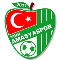 Logo of Yeni Amasya Spor