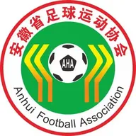 Logo of Hefei U18 Women