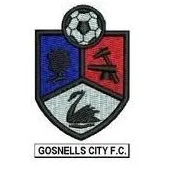 Logo of Gosnells City