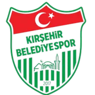 Logo of Sirnak Belediyespor (W)