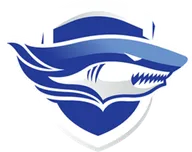 Logo of Chonburi FC