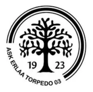 Logo of ASK Erlaa Torpedo 03