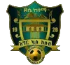 Logo of Dessie Ketema