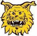 Logo of Ilves Tampere (w)