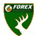 Logo of Forex Brasov