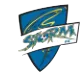 Logo of Storm FC
