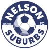 Logo of Nelson Suburbs