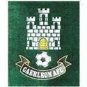 Logo of Caerleon FC