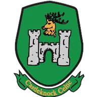 Logo of Castleknock Celtic
