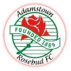 Logo of Adamstown Rosebud Reserves