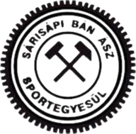 Logo of Sarisapi Banyasz SE