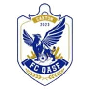 Logo of Guangzhou Yinghuasili U15