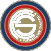 Logo of FC Saalfeld