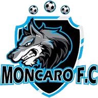 Logo of Moncaro